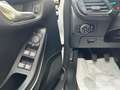 Ford Fiesta 1.0 ECOBOOST HYBRID 125 CV 5 PORTE ST-LINE C.MANU Weiß - thumbnail 7