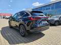 Lexus NX 350h 4x4 Executive Inter.-Paket + Techno-Paket Чорний - thumbnail 6