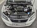 SEAT Leon NAVI 1 HAND FACELIFT Blanc - thumbnail 9