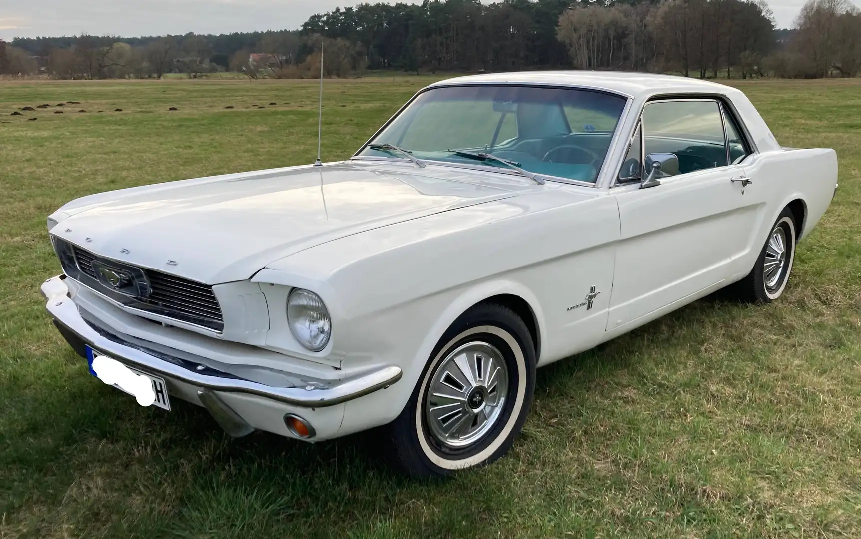Ford Mustang 5,0 aus 1966 White - 1