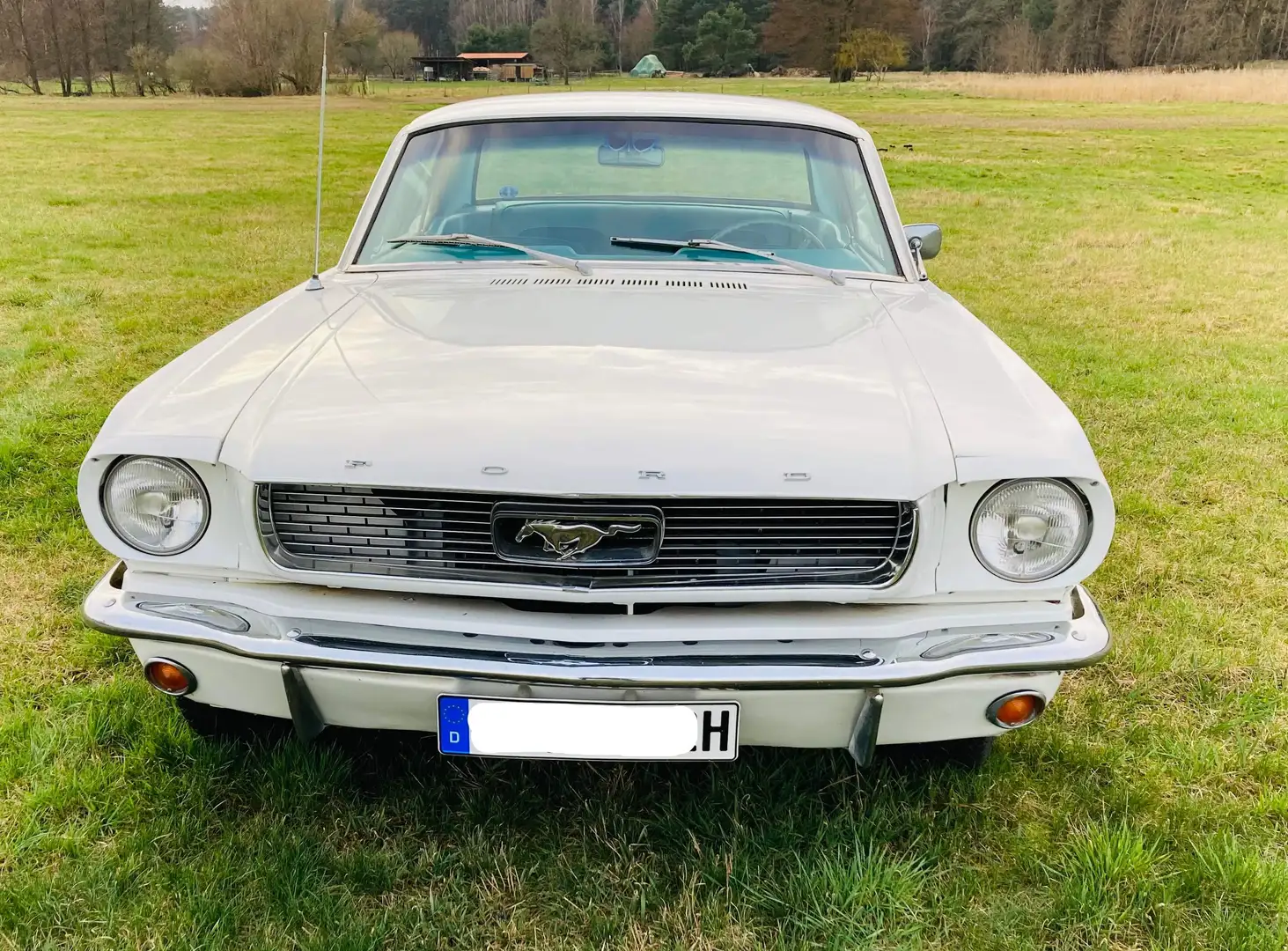Ford Mustang 5,0 aus 1966 White - 2