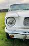 Ford Mustang 5,0 aus 1966 White - thumbnail 13