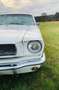 Ford Mustang 5,0 aus 1966 White - thumbnail 14
