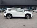Suzuki S-Cross S-Cross 1.4 Hybrid Top+ Blanc - thumbnail 8