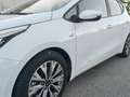 Kia Ceed / cee'd 1,6 CRDi Team Austria Edition - thumbnail 4