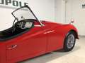 Triumph TR3A M0961 Rouge - thumbnail 13