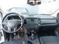 Ford Ranger Doppelkabine XL 4x4 2,0 EcoBlue Diesel Weiß - thumbnail 4