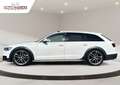 Audi A6 allroad A6 Allroad Quattro V6 3.0 BiTDI 320 Tiptronic8 Bianco - thumbnail 13