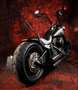 Harley-Davidson Fat Boy Special - Umbau - Jekill & Hyde Noir - thumbnail 11