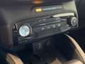 Ford Kuga 2.5 Full Hybrid 180cv Active X 2WD auto Verde - thumbnail 12