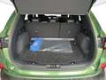 Ford Kuga 2.5 Full Hybrid 180cv Active X 2WD auto Verde - thumbnail 4