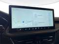 Ford Kuga 2.5 Full Hybrid 180cv Active X 2WD auto Verde - thumbnail 11