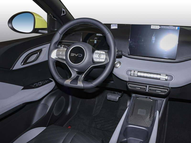 BYD Dolphin SURF Comfort NAVI SHZ PDC KLIMA LM-Felgen — photo 6
