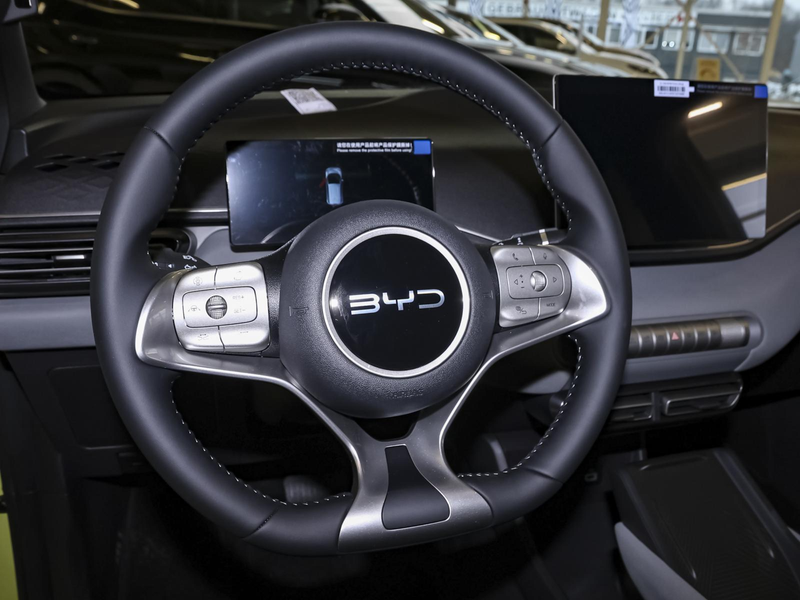 BYD Dolphin SURF Comfort NAVI SHZ PDC KLIMA LM-Felgen — photo 13