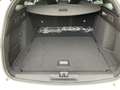 Opel Astra L Sports Tourer 1.2 Turbo Edition ACC Kam. Weiß - thumbnail 13