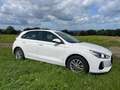 Hyundai i30 i30 CW 1,4 MPI Start/Stopp Comfort Comfort Weiß - thumbnail 5