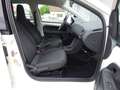 Skoda Citigo CITIGO 1.0 ACTIVE 5 TRG. KLIMA AUS 1. HAND Bianco - thumbnail 11