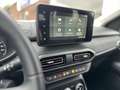 Dacia Jogger Extreme+ Tce100 Eco-G LPG SOFORT Grün - thumbnail 15