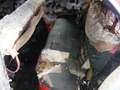 Buick Special 4-Door Hardtop 5.3 V8 Restauration/Teileträger Beige - thumbnail 7