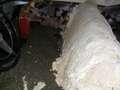 Buick Special 4-Door Hardtop 5.3 V8 Restauration/Teileträger Beige - thumbnail 25