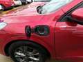 Ford Kuga 2.5 Duratec PHEV ST-Line X 4x2 Rojo - thumbnail 7