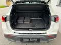 Mercedes-Benz EQA 250 Pano FAP Distr MBUX Navi RKam KeyGo Shz Weiß - thumbnail 24