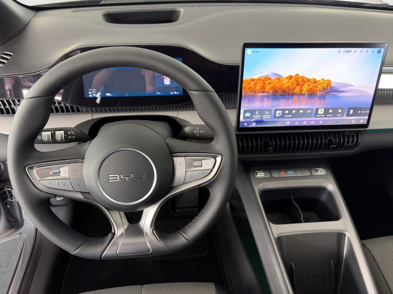 BYD Dolphin G DM-i Comfort /PANO/SHZ/SOFORT — photo 9