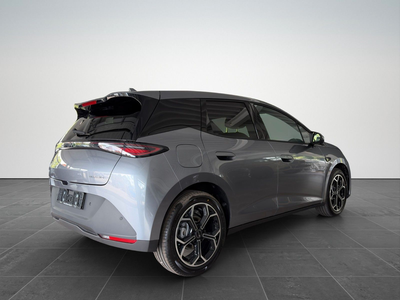 BYD Dolphin G DM-i Comfort /PANO/SHZ/SOFORT — photo 3