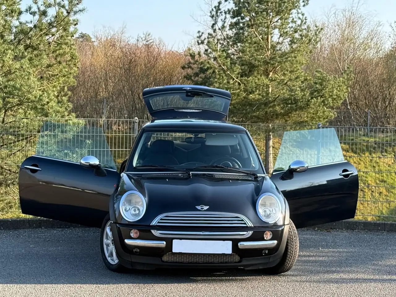 MINI One