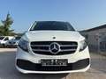 Mercedes-Benz V 220 dEDITIONLang,STANDHEIZ.,VOLLED,31.000€NETTO Weiß - thumbnail 2