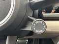 Porsche Panamera 4 PDK !kein Hybrid! Schwarz - thumbnail 30