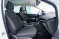 Ford Kuga TREND 1.5 AUTOMATICO 150 CV 5P Blanco - thumbnail 19