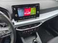 SEAT Ibiza 1.0 TSI Style Edition SHZ PDC KLIMA CARPLA Grau - thumbnail 11