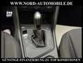 Volkswagen Tiguan Allspace UNITED 2.0 TDI DSG*AHK*VIRTUAL* Grau - thumbnail 19