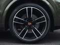 Porsche Cayenne E-Hybrid Coupé Platinum Edition | PTS | HeadUp Verde - thumbnail 12