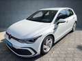 Volkswagen Golf GTI Golf 2.0 TSI GTI Navi LEDplus ACC Weiß - thumbnail 2