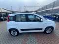 Fiat Panda Panda 1.3 mjt 16v Lounge 75cv E5+ Wit - thumbnail 4