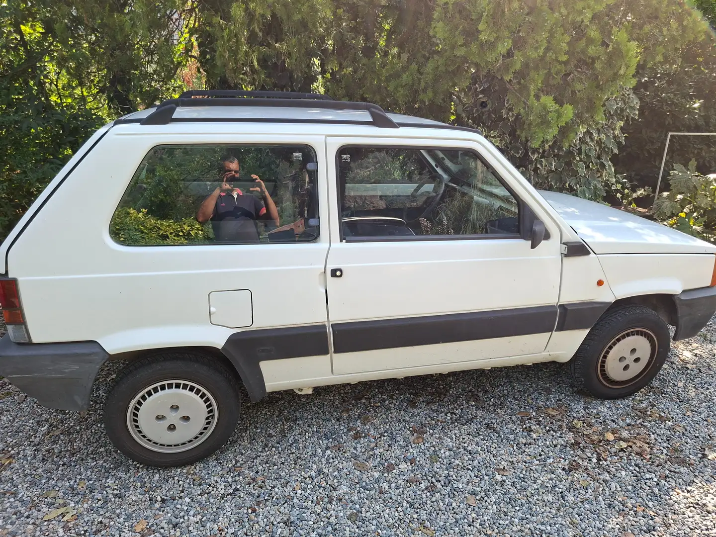 Fiat Panda - 2