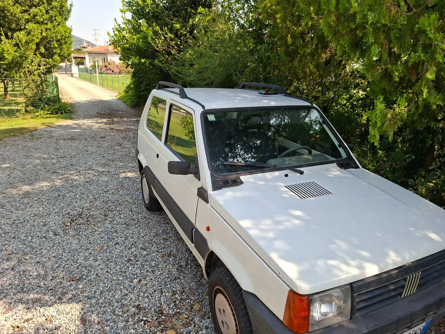 Fiat Panda - 1