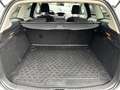 Ford Focus Wagon 1.0 Turbo Titanium Navigatie / Stoelverwarmi Weiß - thumbnail 11