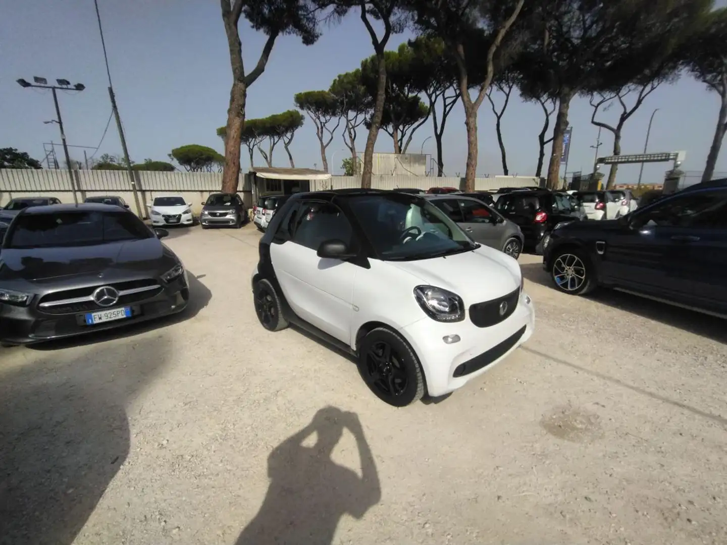 smart forTwo 1.0cc CABRIO 71cv BLUETOOTH CRUISE CLIMA AUTO Bianco - 2