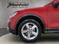 Audi Q2 Sport 1.4 TFSI, Navi, LED, Heckklappe elektr. Rot - thumbnail 7