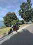 Benelli BN 125 altro - thumbnail 2