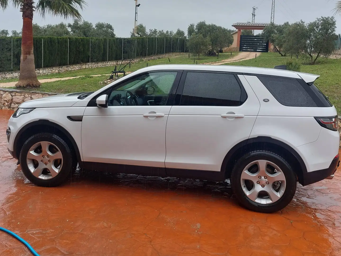 Land Rover Discovery Sport Discovery Sport 2.0eD4 HSE 4x2 150 HSE Blanco - 1