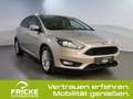 Ford Focus Cool & Connect +Sitz-&-Lenkradheiz.+Active Park As Gold - thumbnail 10