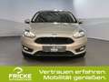 Ford Focus Cool & Connect +Sitz-&-Lenkradheiz.+Active Park As Gold - thumbnail 2