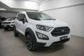 Ford EcoSport 1.0 EcoBoost 125 CV Start&Stop Active Bianco - thumbnail 4