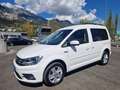 Volkswagen Caddy 2.0TDI 4Mot.Comfort!-Standheizung-AHK-Pickerl neu! Weiß - thumbnail 7