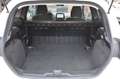 Ford Fiesta Fiesta 3p 1.0 MHEV 125 CV 3 porte Van Trend Bianco - thumbnail 14
