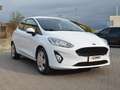 Ford Fiesta Fiesta 3p 1.0 MHEV 125 CV 3 porte Van Trend Bianco - thumbnail 4